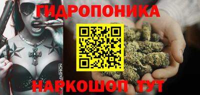 spice Гатчина