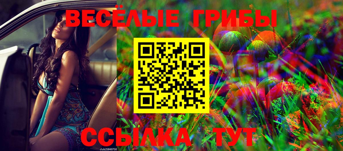 Троицк  Галлюциногенные грибы Psilocybine cubensis  Галлюциногенные грибы прущие грибы  Вход с VPN 