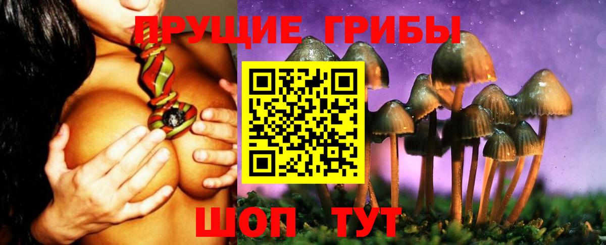 Галлюциногенные грибы GOLDEN TEACHER Троицк